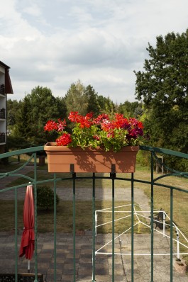 Patrick Jendrusch Photography